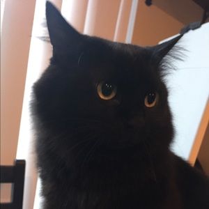 Meet your Posher, Cc